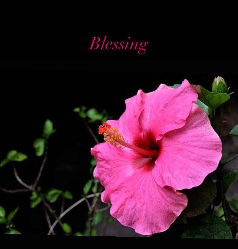 Apartmán Blessing House Neapol Exteriér fotografie